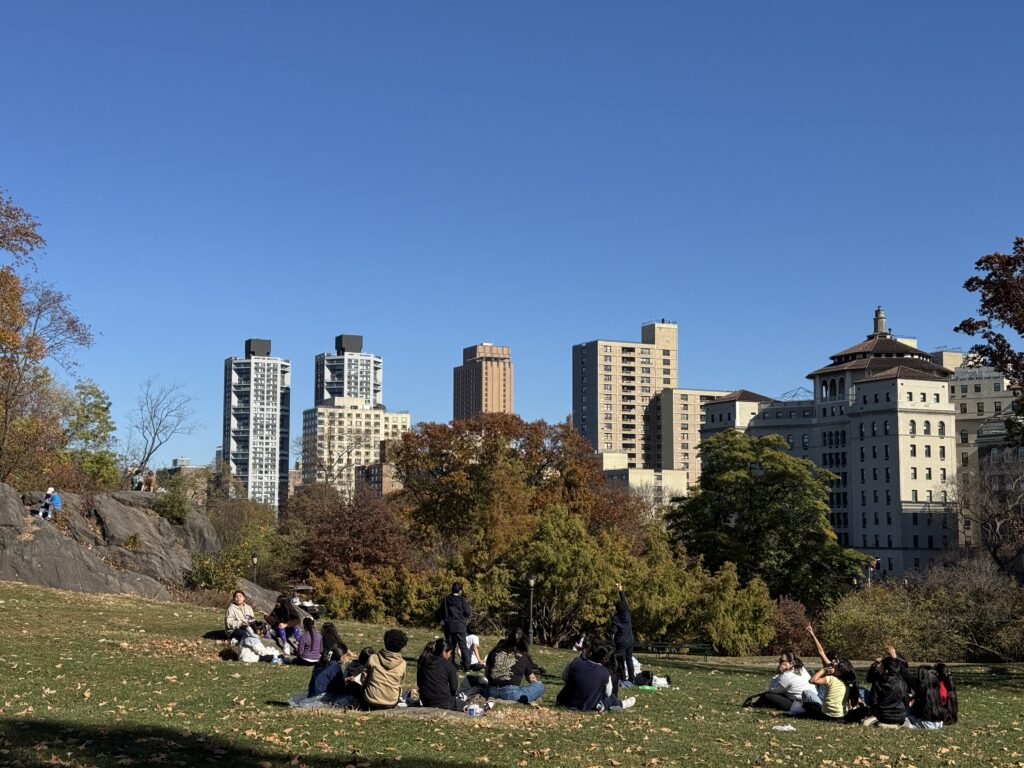 The New York 5th Avenue buildings in the background against a clear blue sky. A large tree and children in the foreground playing in Central Park