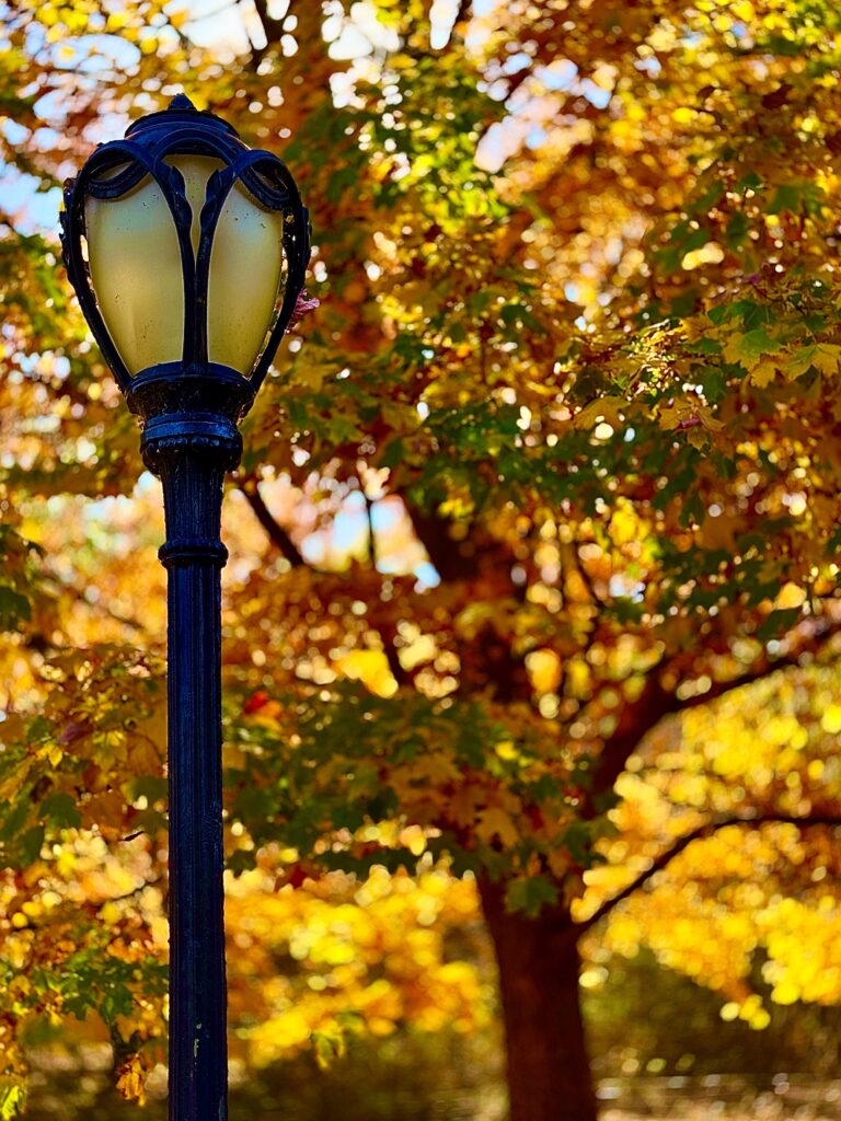 A lamp post in Central Park in clear focus in front of a blurred autumnal tree in the background.