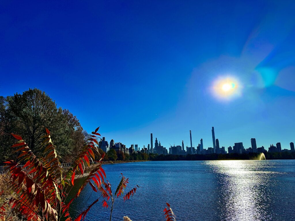 The sun, high in the blue sky over the reservoir. The skyline of manhattan dilohetted.