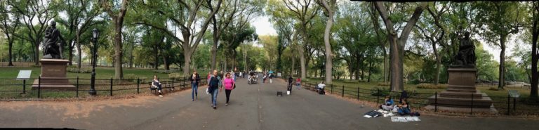 Day 01: A walk in the park