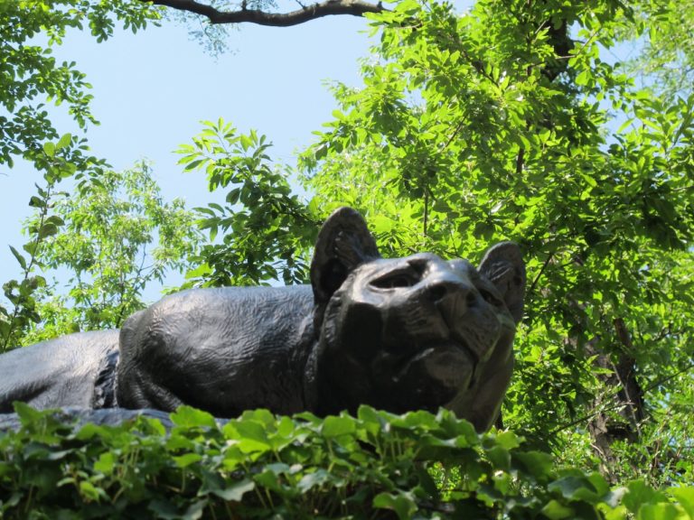 Day 04: The Park, still searching, hunting