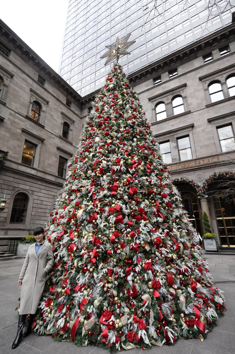 Day 23: A tree, tenement and tea
