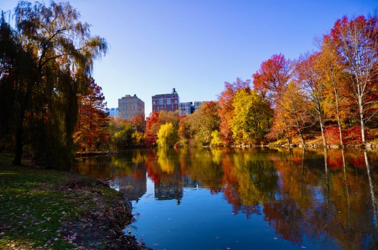 Day 08: A Central Park we’ve never seen