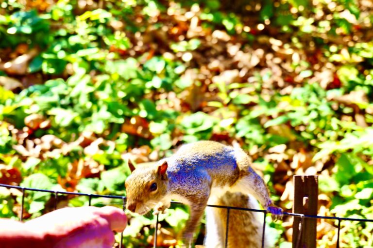 NYC10 – Day 01: Now you drop away slowly, like the autumn leaves